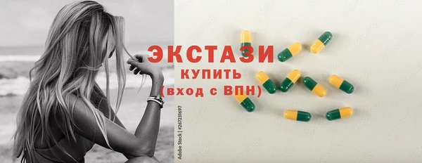 СК Алексин