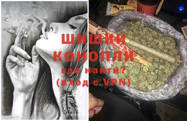 шишки Алзамай