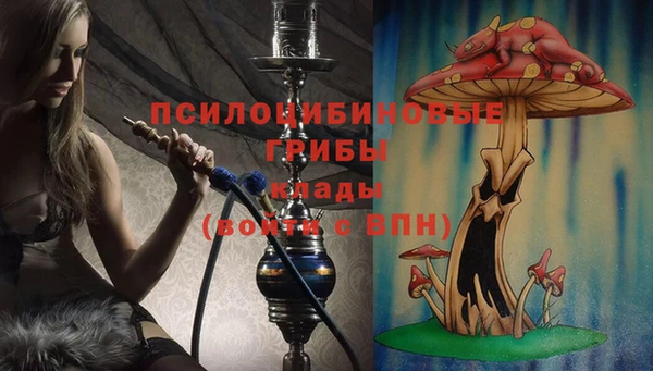 шишки Алзамай