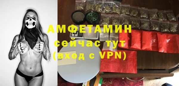 прущие грибы Алексеевка